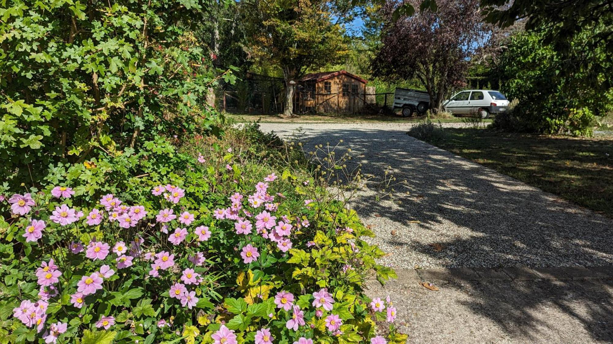Bed and Breakfast Au Bonheur De Cisse Chouzy-sur-Cisse Exteriér fotografie
